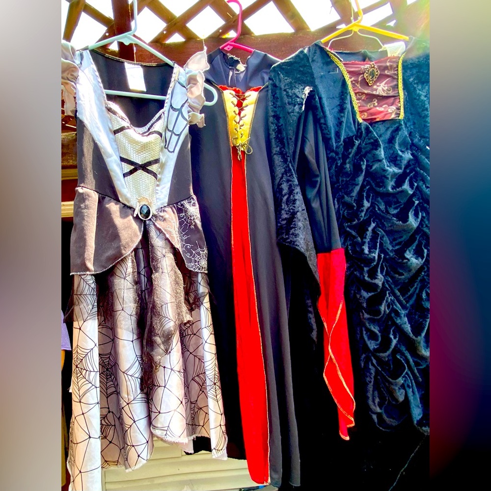 Festive Costumes and Dresses for children and adults